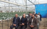 ۲۹۴ طرح کسب و کار کوچک و متوسط در زنجان به بهره برداری رسید