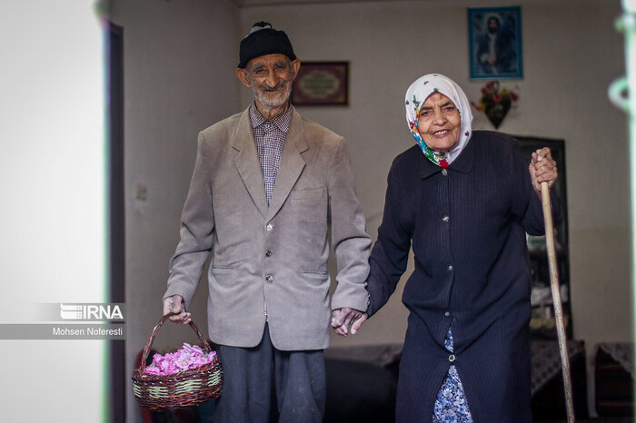 ۶۶ درصد سالمندان سرپرست خانوار در کشور تنها زندگی می کنند