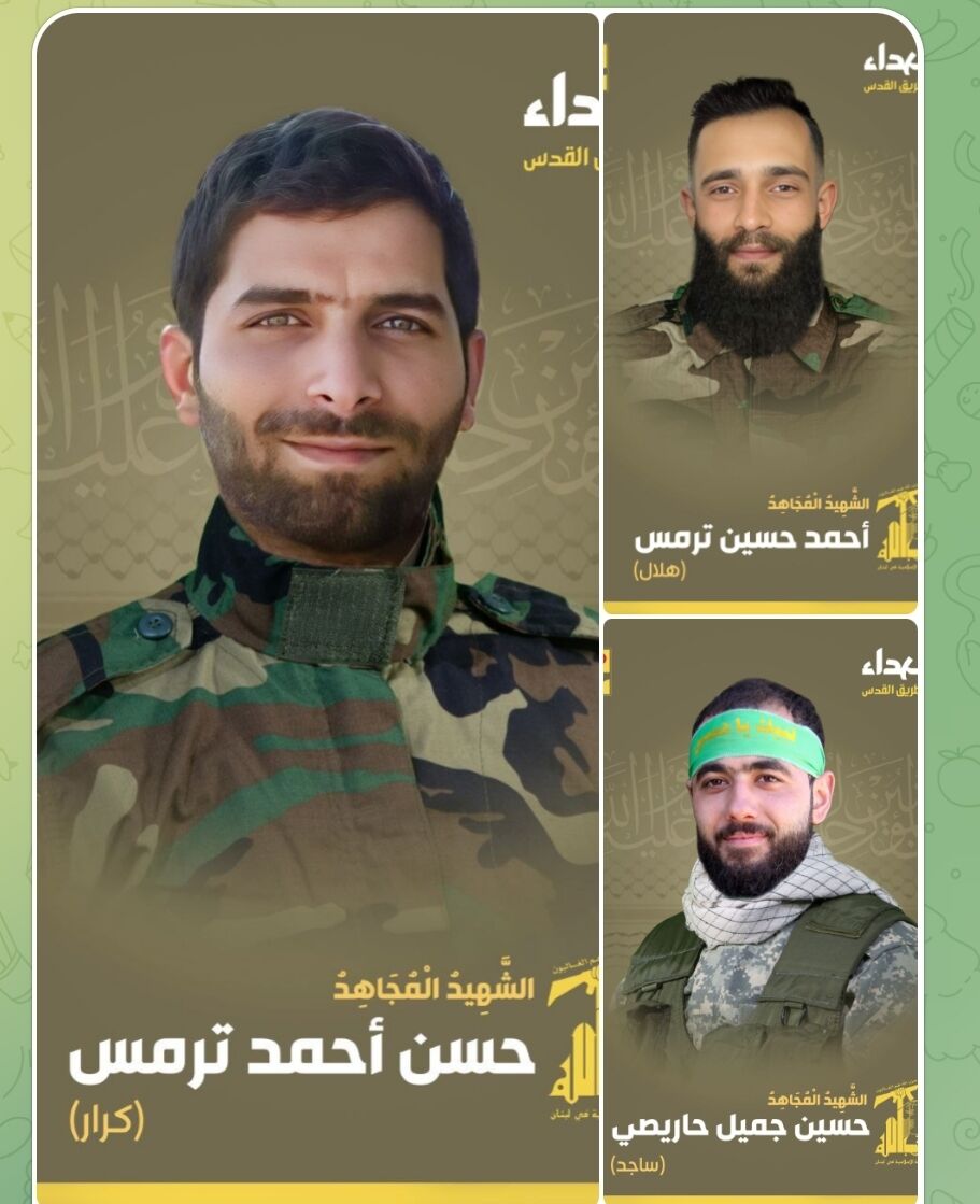 5 Hezbollah members killed in Israeli attacks