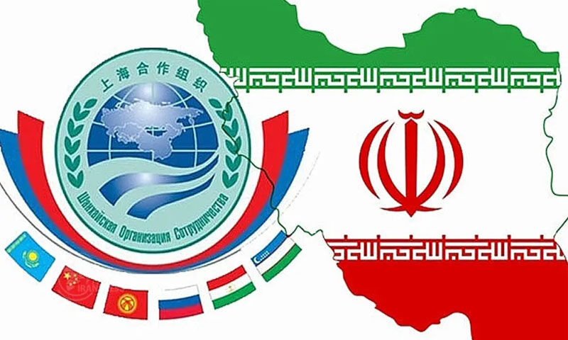 ایران اور شنگھائی تعاون تنظیم کے رکن ممالک کے مابین تجارت کا حجم 37 ارب ڈالر، 5/5 فیصد اضافہ