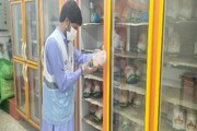 ۴۰ تن فرآورده خام دامی در سیستان و بلوچستان معدوم شد