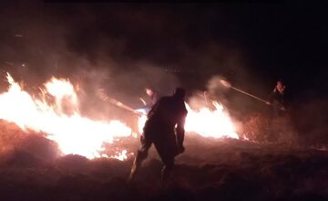آتش سوزی تالاب گندمان چهارمحال و بختیاری مهار شد