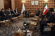 Iran determined to use BRICS capacities: Minister