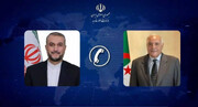 Iran, Algeria call on int’l community to help halt genocide in Gaza, Rafah