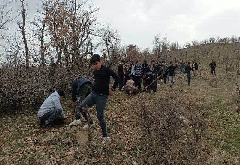 ٢ هکتار از جنگل‌های سردشت بذرکاری و نهال‌کاری شد