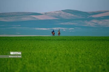 Plaine de Torkaman Sahra dans le nord-est de l’Iran