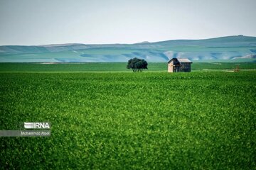 Plaine de Torkaman Sahra dans le nord-est de l’Iran