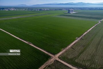 Plaine de Torkaman Sahra dans le nord-est de l’Iran