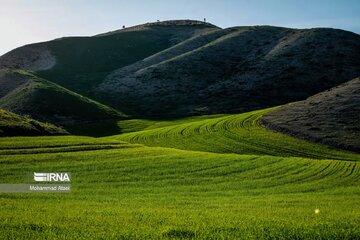 Plaine de Torkaman Sahra dans le nord-est de l’Iran