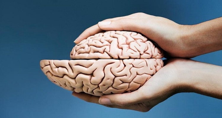 عوارض بعد از سکته مغزی را چگونه مدیریت کنید؟