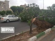 سرعت وزش باد در زنجان افزایش می‌یابد
