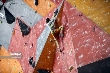 Celebradas las competencias de escalda en roca de la Copa Fayr