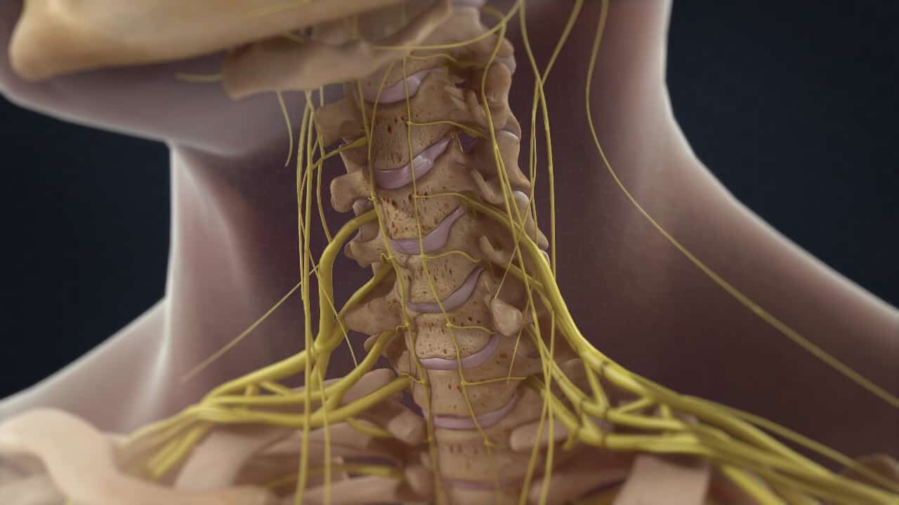 پزشکان تربتحیدریه جوان ۲۷ ساله را از خطر قطع نخاع نجات دادند پزشکان تربتحیدریه جوان ۲۷ ساله را از خطر قطع نخاع نجات دادند