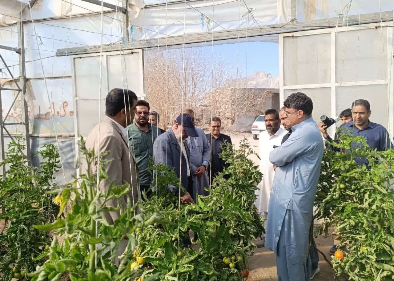 ۱۰ هکتار گلخانه جدید در شهرستان خاش در دست ساخت است - ایرنا