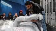 Número de mártires palestinos en Gaza supera 29 mil