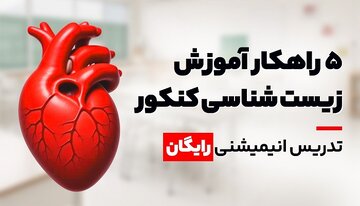 معرفی 5 راهکار برای آموزش زیست شناسی کنکور/ تدریس انیمیشنی رایگان