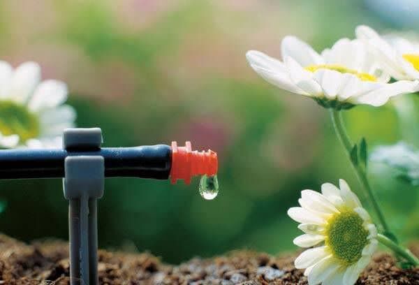 استاندار همدان: قطرهای آب نباید هدر برود