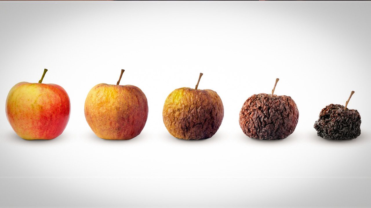 ساخت واکس نانویی که ماندگاری میوهها را افزایش میدهد