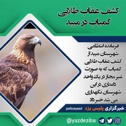 کشف عقاب طلایی کمیاب در میبد یزد
