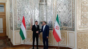 Iran FM meets with visiting Hungarian counterpart