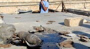 2015'te Suriye'de Mar'e'ye Düzenlenen Kimyasal Saldırının Sorumlusu DAEŞ'tir