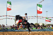 Festival del caballo iraní en Bushehr