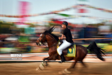 Festival del caballo iraní en Bushehr