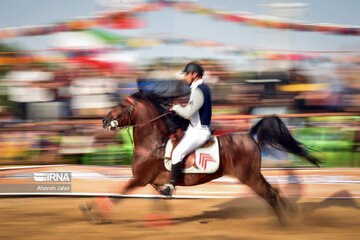 Festival del caballo iraní en Bushehr