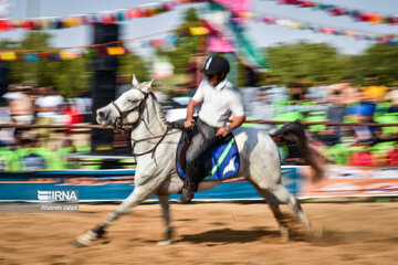 Festival del caballo iraní en Bushehr