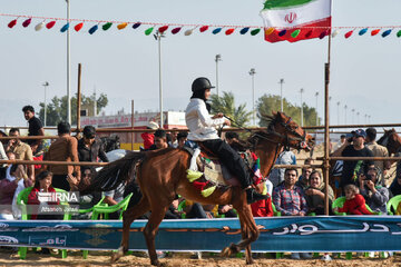 Festival del caballo iraní en Bushehr