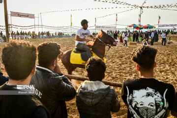 Festival del caballo iraní en Bushehr