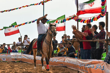 Festival del caballo iraní en Bushehr