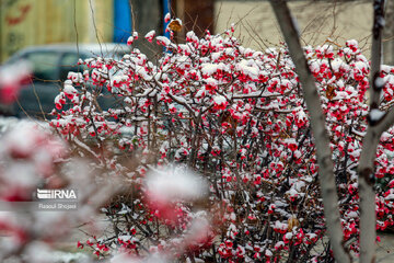 Nevadas en Isfahán