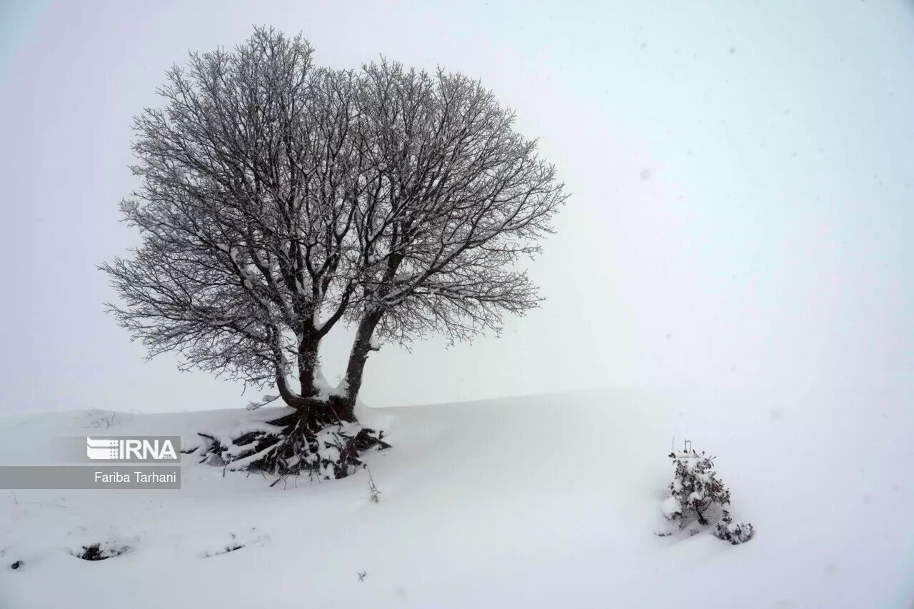 ثبت بیش از ۴۵ میلی‌متر بارندگی در کاشان