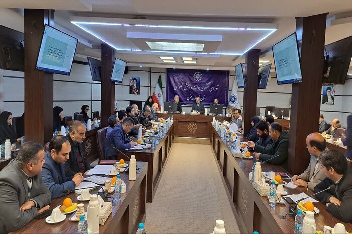 استاندار خراسان جنوبی: استان مرجع اصلی صادرات زرشک باشد