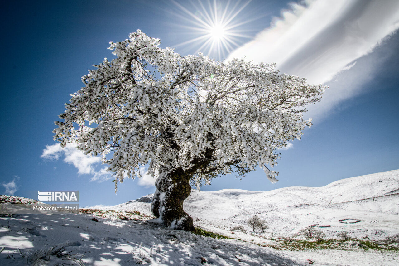 سرمای زمستانی در جنوب آذربایجان‌غربی تا پایان هفته تداوم دارد