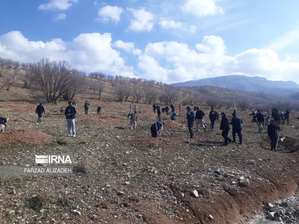 ۴۰۰ هکتار منابع طبیعی گناباد با مشارکت مردم  نهال‌کاری شد