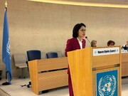 سئول خواستار توجه جهانی به وضعیت حقوق بشر در کره شمالی شد