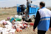 ۷۰۰ کیلوگرم مواد غذایی غیر بهداشتی در نی ریز نابود شد