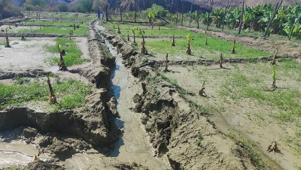 سیل به بیش از ۱۸ هزار هکتار از اراضی کشاورزی سیستان و بلوچستان خسارت زد