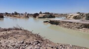 خسارت سنگین سیل سیستان و بلوچستان به کشاورزی ۱۰ شهرستان