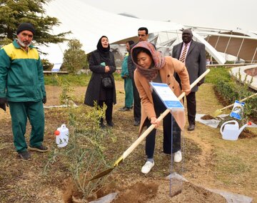 کاشت نهال صلح و دوستی به دست سفرا در تهران