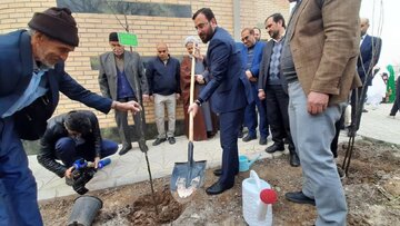 اجرای طرح کاشت نهال در کتابخانه عمومی شهید آوینی پاکدشت با حضور قائم مقام وزیر ارشاد