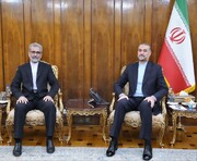 سفير إيران الجديد في جنوب أفريقيا يلتقي أمير عبداللهيان
