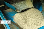 برنج فروش متقلب در زنجان محکوم شد 