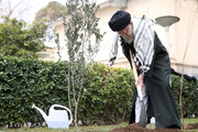 «El olivo que plantamos hoy fue en solidaridad con el pueblo oprimido y resistente de Palestina»