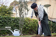 El Ayatolá Jamenei planta tres árboles jóvenes