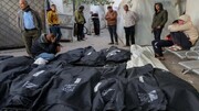 97 Palestinians killed in Gaza in past 24 hours