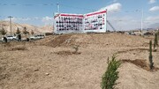 زیتون‌ها از محل انفجارهای تروریستی کرمان قد برافراشتند