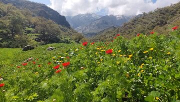نوروزگردی در باشت،طبیعت دلنشین تفرجگاه رودرونه